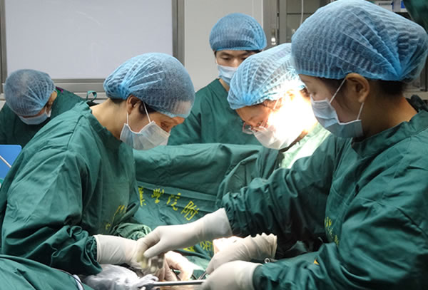 仙桃职业学院附属医院2026年招聘