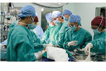 京东中美医院2027年招聘