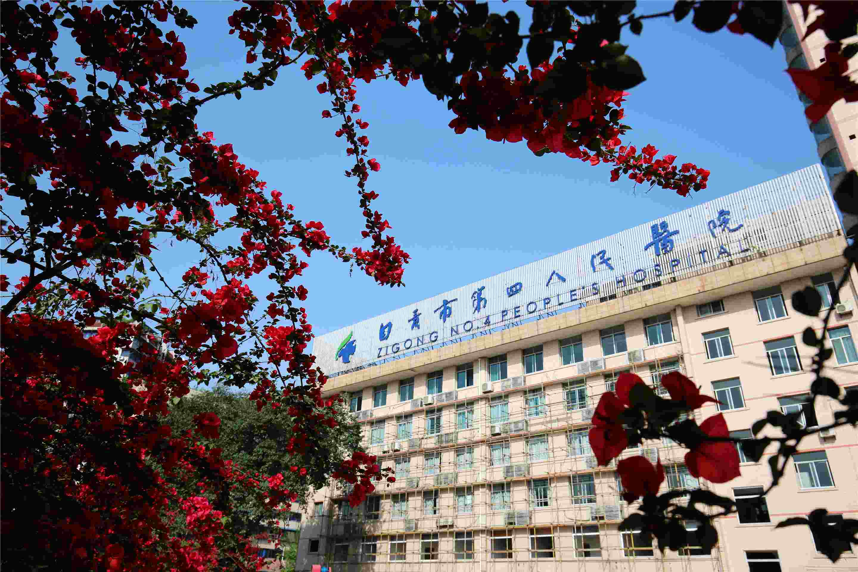 四川自贡市第四人民医院2026年招聘