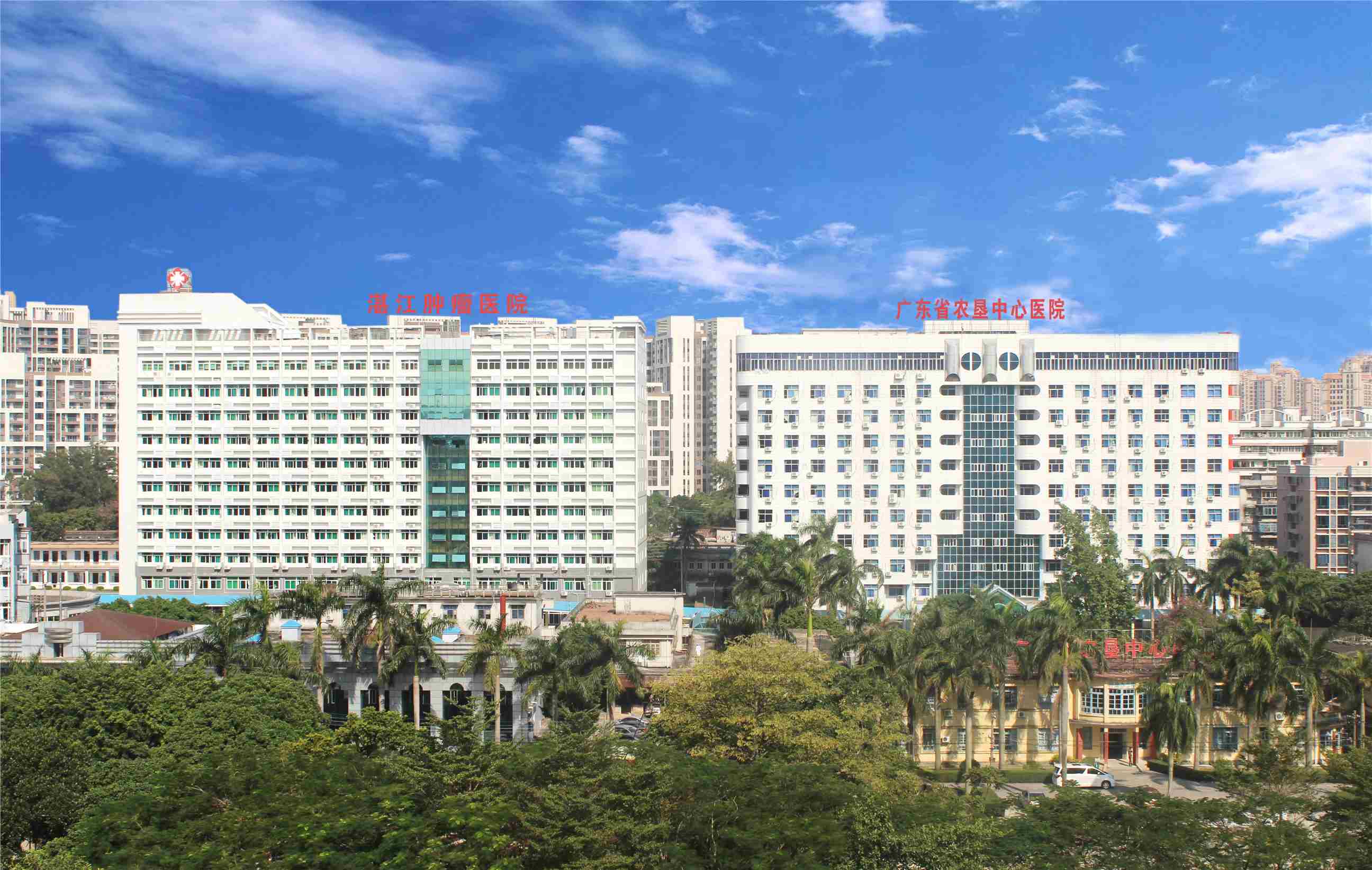 麟越医生速聘2026年招聘