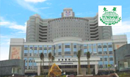 东莞东华医院logo 