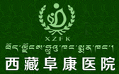 西藏阜康医院logo 