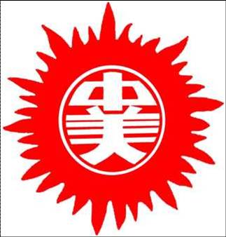 京东中美医院logo 