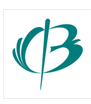 深圳市宝安中医院（集团）logo 